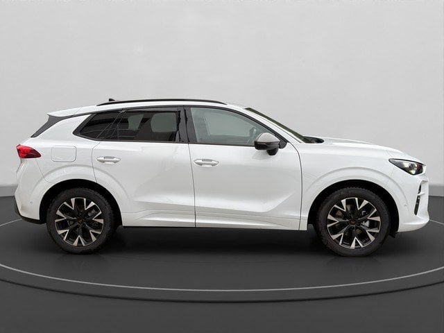 Cupra Terramar 1.5 eTSI 7-Gang-DSG SpurH el.Heck SHZ