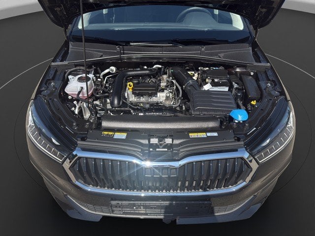Skoda Fabia 1.0 TSI DSG Tour ACC PDC KlimaA Winterp. Navi