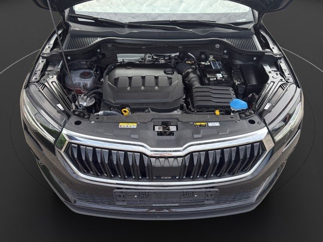 Skoda Karoq 2.0 TDI DSG Tour *LED*VIRTUAL*SZH*RFK*PDC* AHK LED Navi PDC Kam.