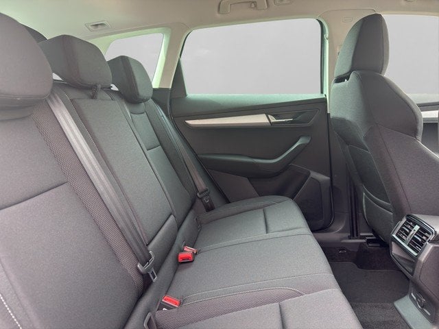Skoda Karoq Balance 2.0 TDI 110 kW 7-Gang-DSG