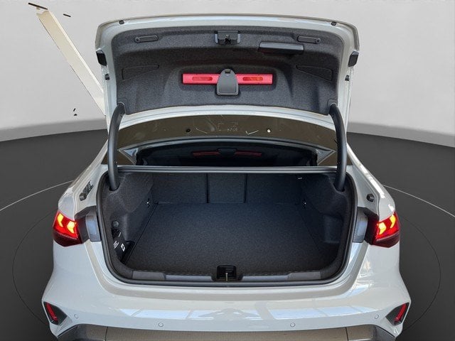 Audi RS 3 Lim. S tronic Schalensitze*RS-Abgas*Lack