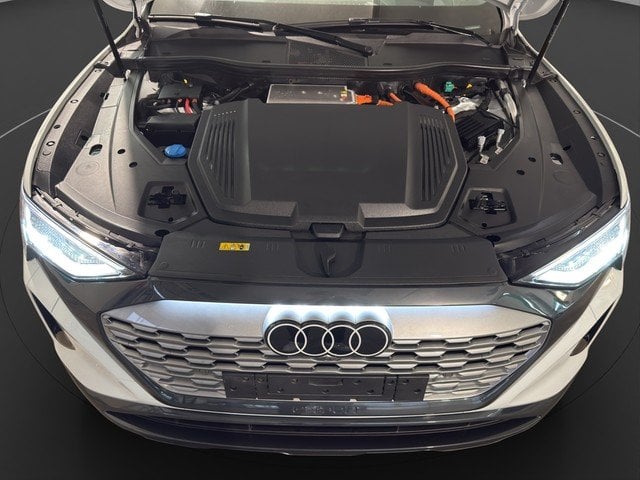 Audi Q8 Sportb. e-tron 50 quattro advanced *PANO*B&O*
