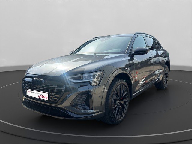 Audi Q8 e-tron 50 quattro S line Akustikglas