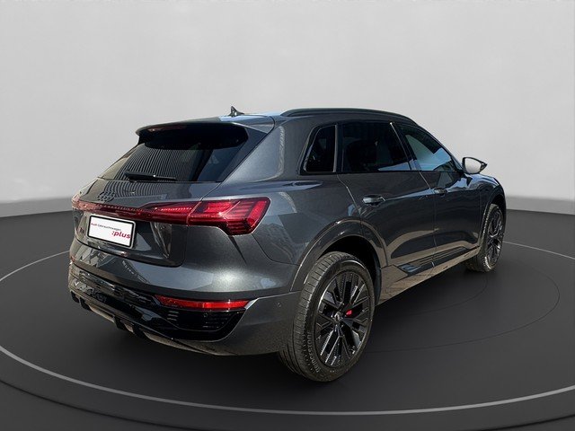 Audi Q8 e-tron 50 quattro S line Akustikglas