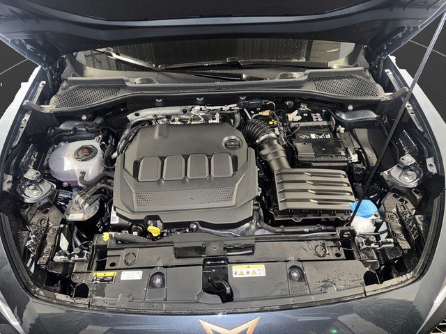 Cupra Formentor 2.0 TDI DSG *LED*KESSY*RFK*NAVI*DWA* Virtual