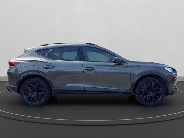 Cupra Formentor VZ 2.0 TSI 4Drive DSG Tribe Edition Navi PDC